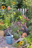 In the foreground is a basket with picked vegetables and herbs, and in the back is a bed with herbs and a raised beds with vegetables.
