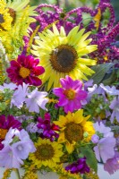 Bouquet of summer flowers including Dahlia, Sunflowers, Amaranthus caudatus, Solidago, Agastache and Malva.