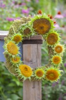 Wreath of sunflower seedheads hang to dry.