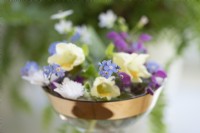Still life of a small wine glass filled with picked late spring flowers including Myosotis arvensis - Forget-me-not