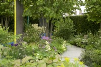 RHS Chelsea Flower Show 2023 - Mixed borders in the  The National Brain Appeal's Rare Space designed by Charlie Hawkes