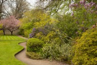 A border of Acer, Rhododendron, Syringa, Erica and Prunus along a curved path at Cawdor Castle Gardens.