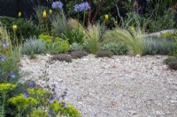 Drought tolerant planting including Stipa tenuissima, agapanthus and euphorbia are set into crushed concrete  - designer Tom Massey - RHS Resilient Garden, RHS Hampton Court Palace Garden Festival.