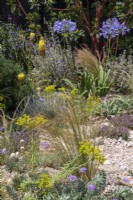 Drought tolerant planting including Stipa tenuissima, agapanthus and euphorbia are set into crushed concrete  - designer Tom Massey - RHS Resilient Garden, RHS Hampton Court Palace Garden Festival.