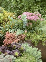 Fall planting in plant container with Sedum and Carex, autumn October