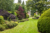 View across the lawn and curved borders with Cotinus, Heathers and Taxus topiary in Autumn to the house.
