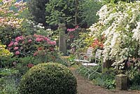 Seating in the spring garden in front of the spirea, Exochorda The Bride 