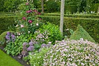 Bed with clematis and perennials 