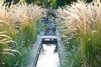 Grass garden with water basin 
