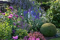 Bed with shrubs and perennials 