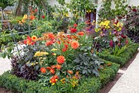 Colorful bed with perennials and dahlias 