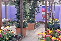 Courtyard with bulb flowers 
