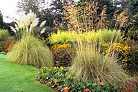 Grasses in a large garden 