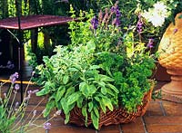 Basket with herbs 
