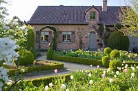 Front garden with tulips, Tulipa Inzell, Tulipa Mata Hari 