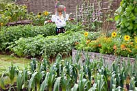 Vegetable garden with potatoes and scarecrow, Solanum tuberosum, Allium porrum 