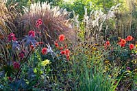Grasses, perennials and dahlias 