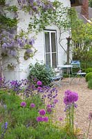 Cottage garden with seating area 