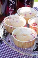 Muffins with elderberries, Elderberry muffins, Sambucus nigra 