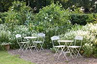 White Garden, Geranium pratense Alba, Centranthus ruber Albus, Rosa alba Semiplena 
