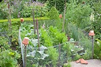 Small vegetable garden, Brassica oleracea, Daucus carota, Allium cepa 