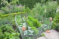 Small vegetable garden, Brassica oleracea, Daucus carota, Allium cepa 