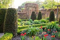 Garden with Tulipa Annie Schilder, Taxus, Buxus, Fagus sylvatica 