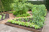 View of a vegetable garden 