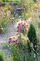 Gravel Garden, Nassella tenuissima, Stipa tenuissima, Echinacea purpurea Magnus, Gaura lindheimeri Whirling Butterflies 