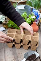 Sowing lettuce in seed pots, step by step, step 2, pressing the seed soil with the bottom of the seed pots, Lactuca sativa Salanova 