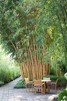 Seating area in front of bamboo, Phyllostachys vivax Aureocaulis, Phyllostachys atrovaginata 