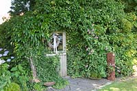 Garden shed covered with ivy, climbing hydrangea and wild vine, Hydrangea petiolaris, Hedera, Parthenocissus 