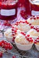 Muffins with currants, Ribes rubrum 