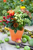 Autumnal arrangement with berries and seed heads of the coneflower 