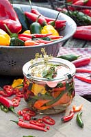 Pickled peppers and hot peppers, Capsicum annuum 