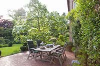 Seating terrace with flowering dogwood, Cornus nuttalii Eddie's White Wonder 
