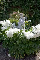 White peony with sculpture, Paeonia lactiflora 