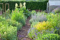Country garden with herbs and perennials 