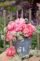 Bouquet with peonies and cow parsley, Paeonia lactiflora Coral Charm, Anthriscus sylvestris 