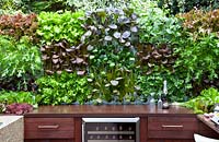 Vertical gardening with lettuce and herbs in outdoor kitchen 