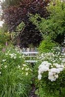 Bench Seat with Daisies and Peonies, Leucanthemum vulgare, Paeonia lactiflora, Bench Seat with Daisies and Peonies, Leucanthemum vulgare, Paeonia lactiflora 
