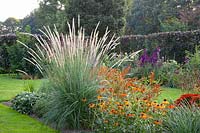 Bed with South African fountain grass, Pennisetum macrourum 
