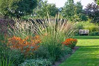 Bed with South African fountain grass, Pennisetum macrourum 