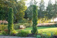 Garden with beech columns, Carpinus betulus 