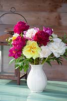 Bouquet with peonies, Paeonia lactiflora 