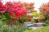 Seating area with maple and serviceberry in autumn, Acer palmatum vitifolium, Amelanchier lamarckii 