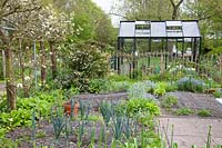 Vegetable garden with greenhouse in spring 