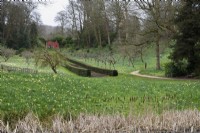 Painswick Rococo Garden in Gloucestershire in spring where daffodils carpet the ground beneath fruit trees.
