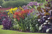 Mixed perennial border with Crocosmia, Salvia and Canna at Dorothy Clive Garden, August
