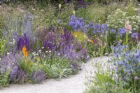 Colour themed border along gravel path planted with Salvia 'Caradonna', 'Amethyst', Nepeta faassenii, Deschampsia cespitosa. RHS Iconic Horticultural Hero Garden, Designer: Carol Klein